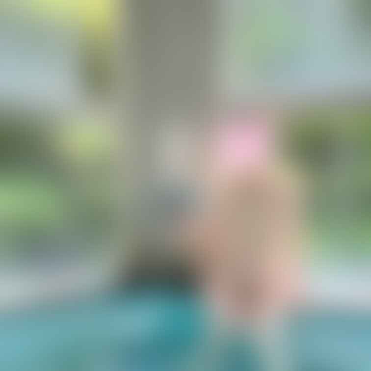 混浴温泉で朝風呂…♡
温度が暑くて足湯がちょうど良くてほとんどこのスタイル…
ワニさんにチラチラ見られるの巻♡