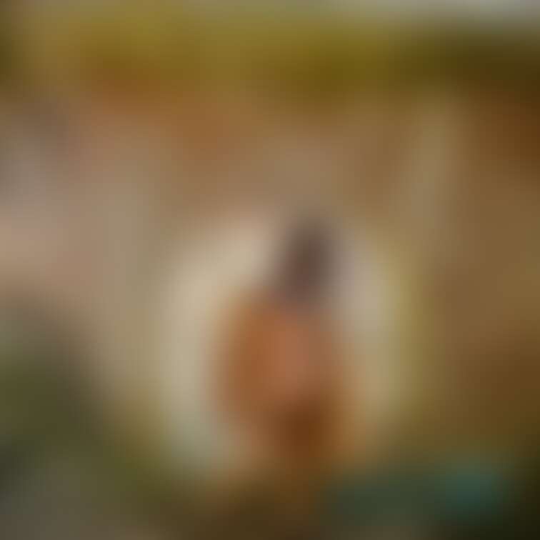 煉瓦って映えますよね💕