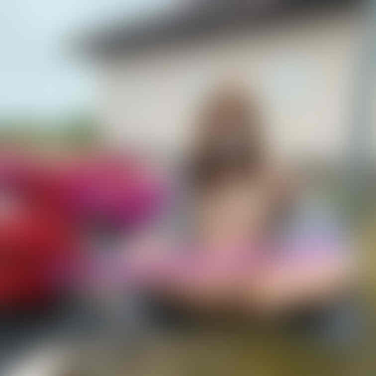 さすがのゆきも人や車が多くてこれが限界でした💦

ゆきの一言
これお気に入りです😊本当は全裸で正面からお花畑を背景