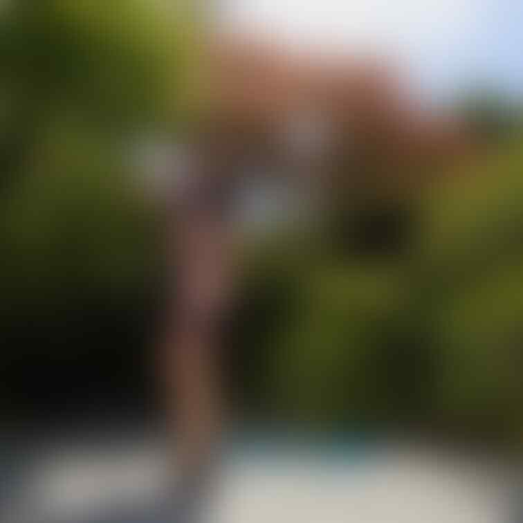 過去の削除写真の再投稿です。(2023年7月投稿)
素敵な庭園シリーズ⑥