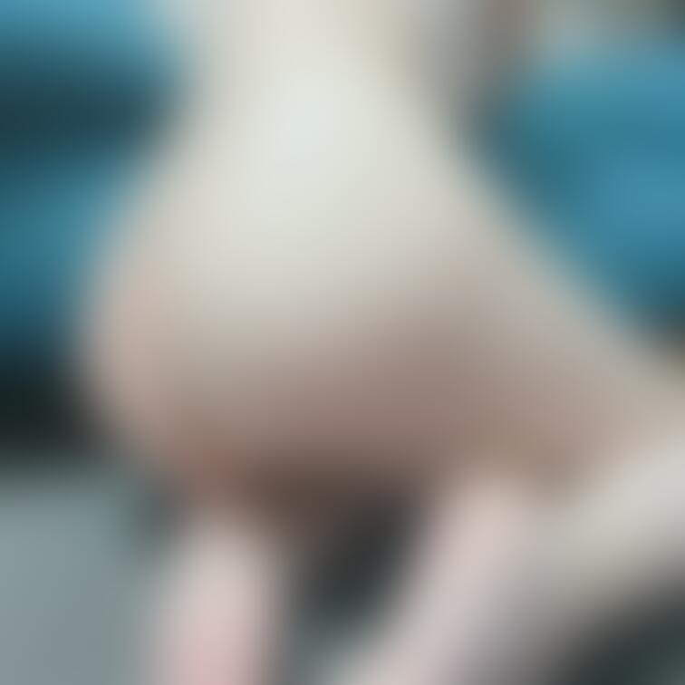 おしり🍑🫶