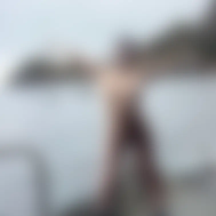 露出🌊