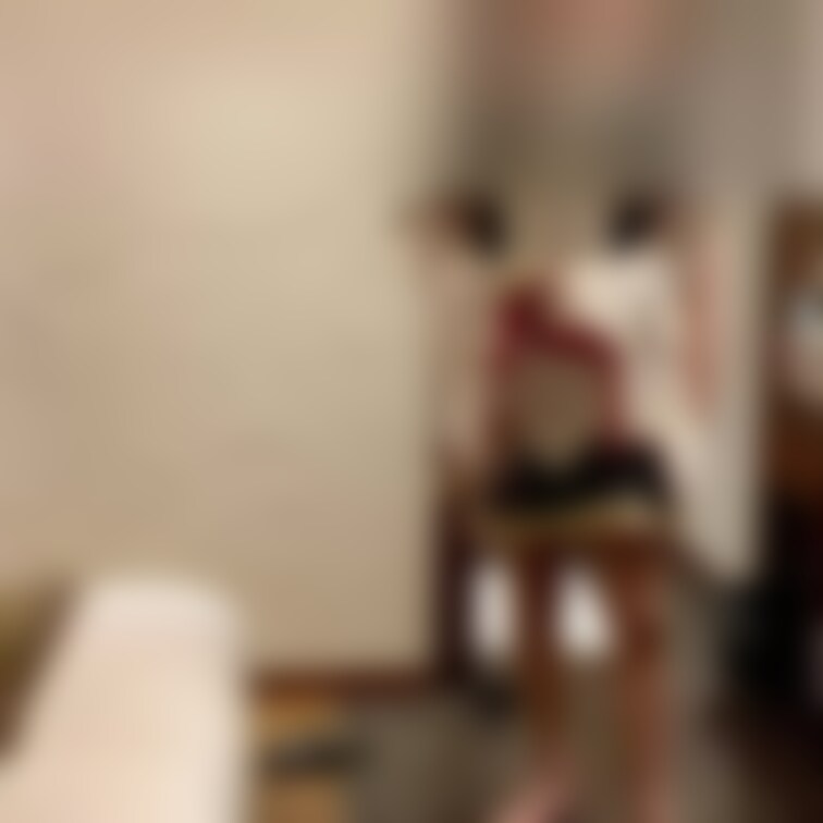セイバーアストルフォとメイドアルトリアの立ちバック