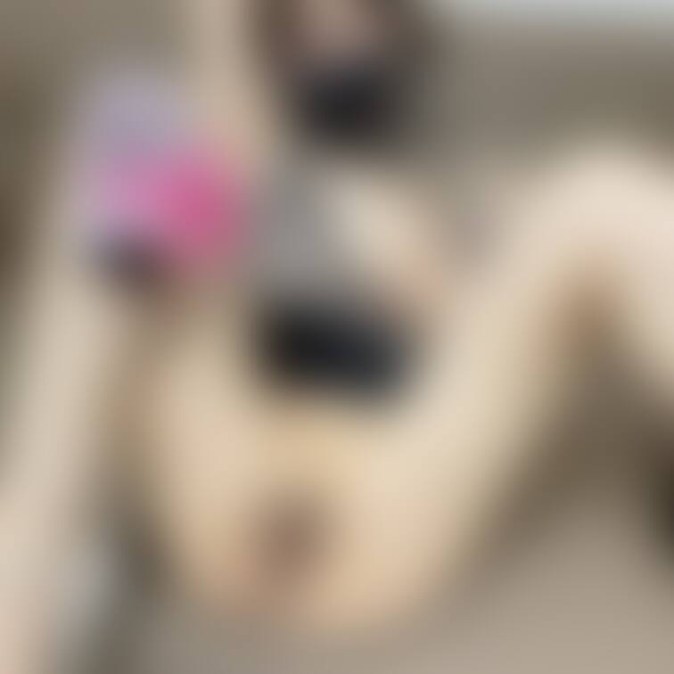 このドレス最後のおまんこです(๑•̀ㅁ•́ฅ✨
好き？