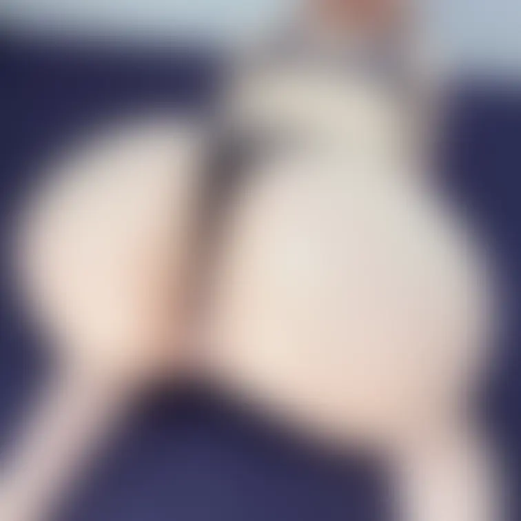 濡れ濡れお◯ン子好きですか?😍