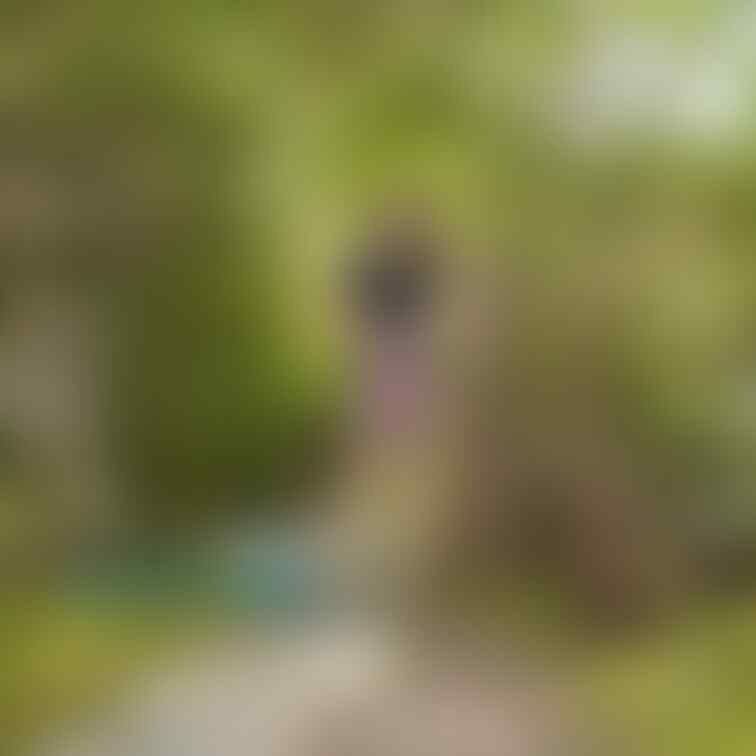 過去の削除写真の再投稿です。(2023年7月投稿)
素敵な庭園シリーズ①