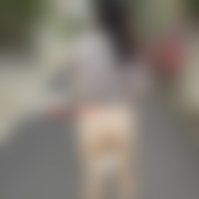 フルプランはぼかしが少ないです