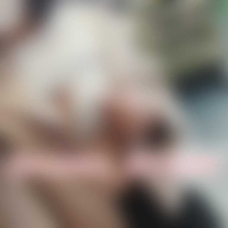 お待たせしました！
フォロワーさん100名突破企画の｢いつもは行かないリスクが高い場所での撮影｣ということで、夜のアダ