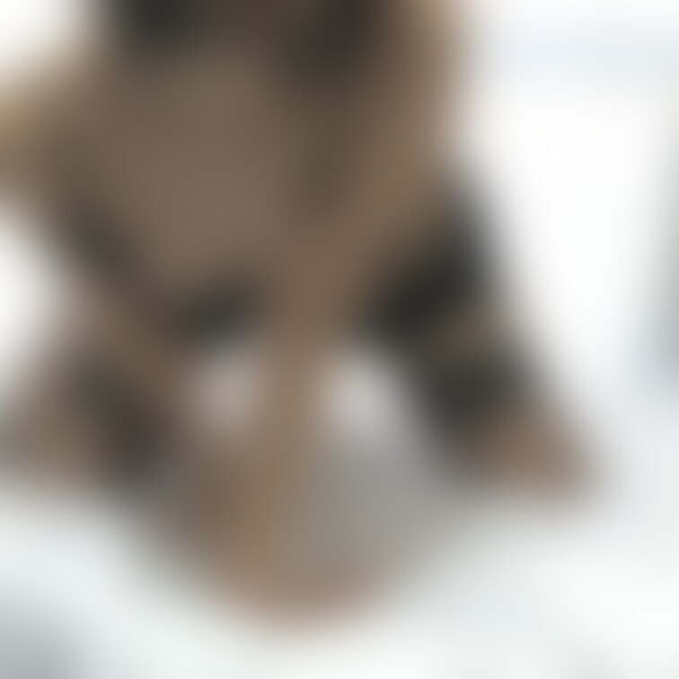 可愛すぎてテンション上がる…🥹♡