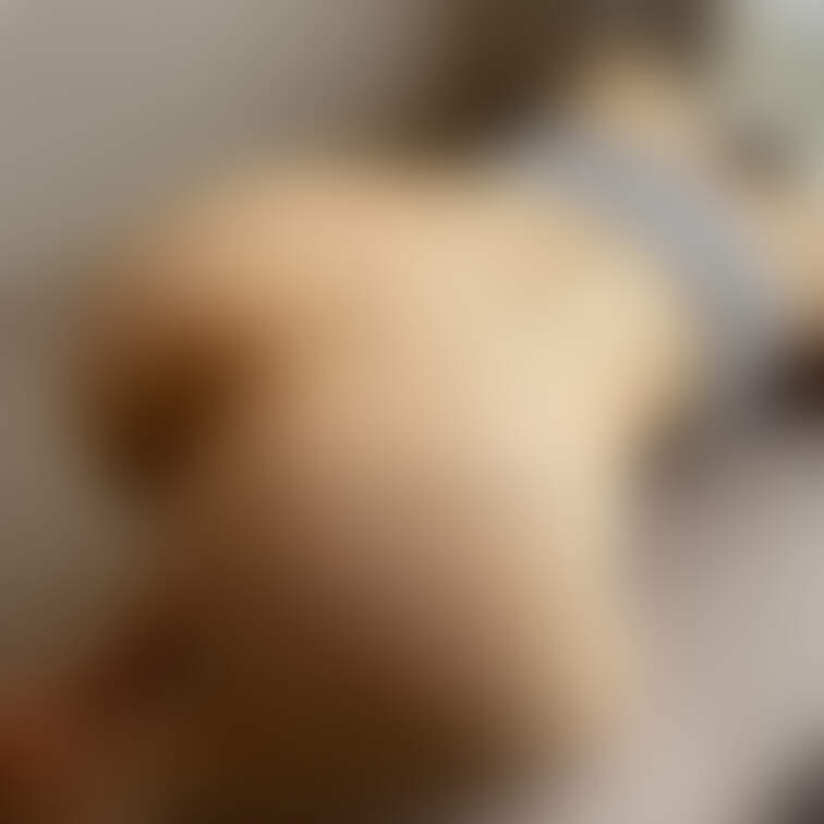 👇窓際立ちバックハメ撮りのオフショット♡
https://myfans.jp/posts/bd480f4b-11b8-