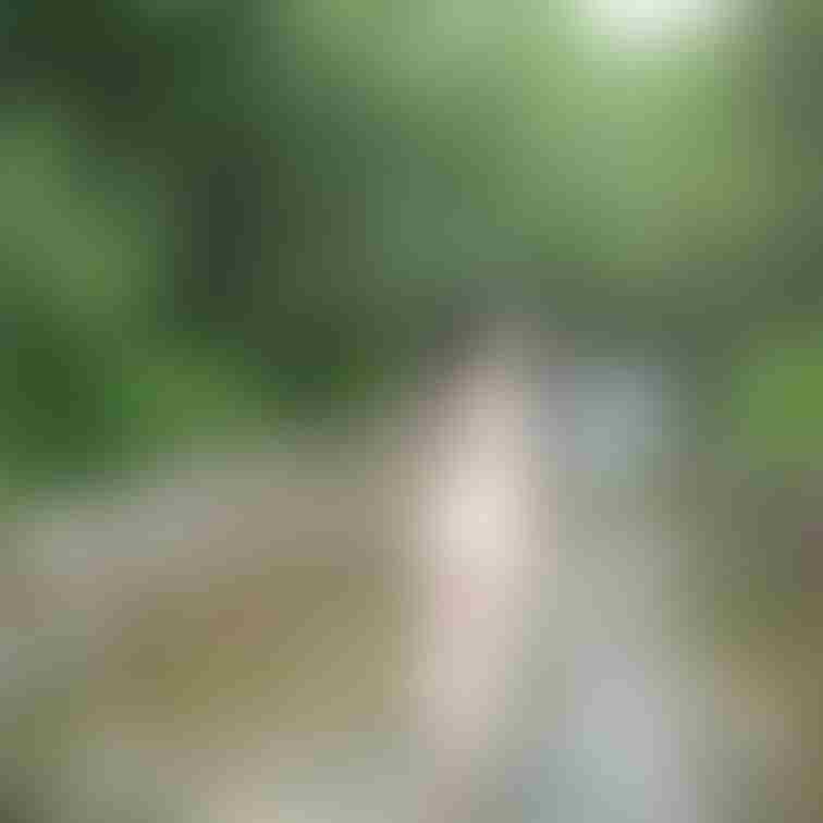YさんのH県山中での屋外ヌードです。お尻を出しています。