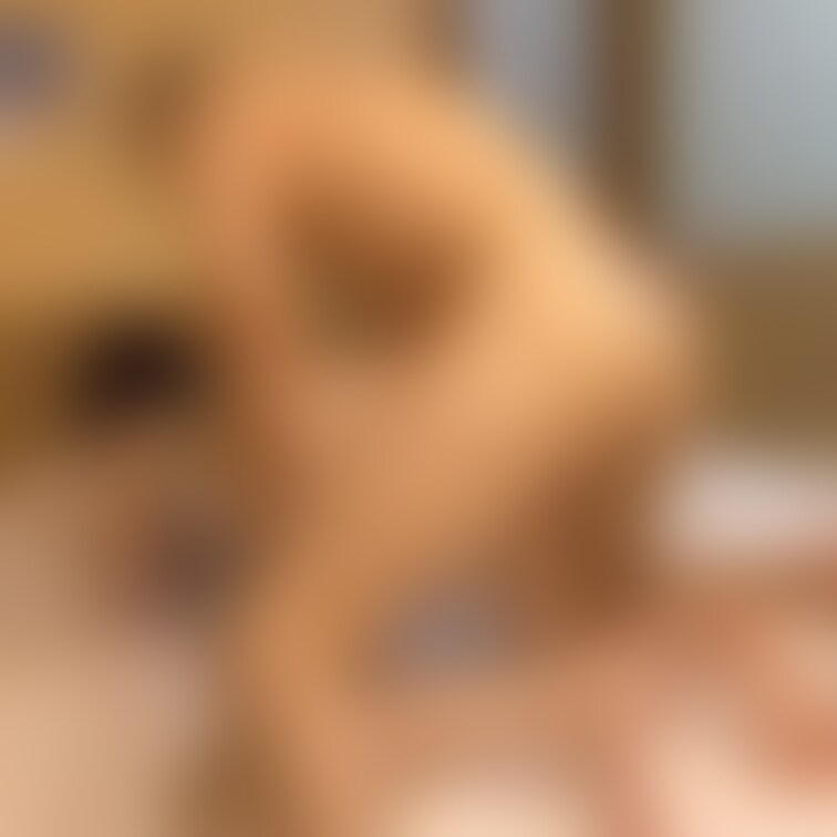 悪友と妻がホテルデートした時にカルバンクラインのグレーの下着のままＨしたのを悪友が撮影して私に報告したものです。