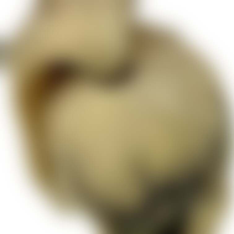 金髪ぷりん学生
