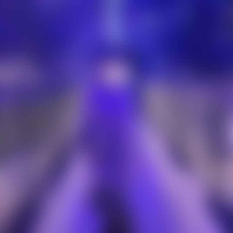 ほうしちゃん