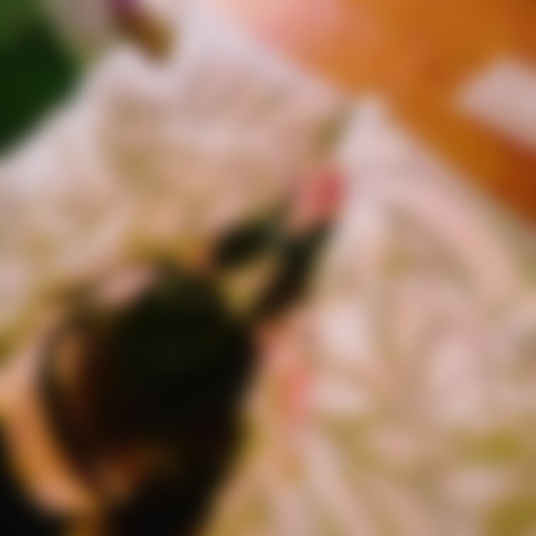 過去作を見放題プランで見放題にしています🙇‍♀️💞

過去は単品商品だったものや、高かったものも【💍プラチナ💍】プラ