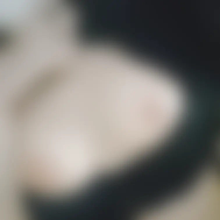 吸っていいよ