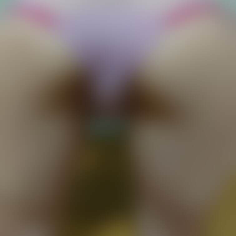 過激(´・ω・`)