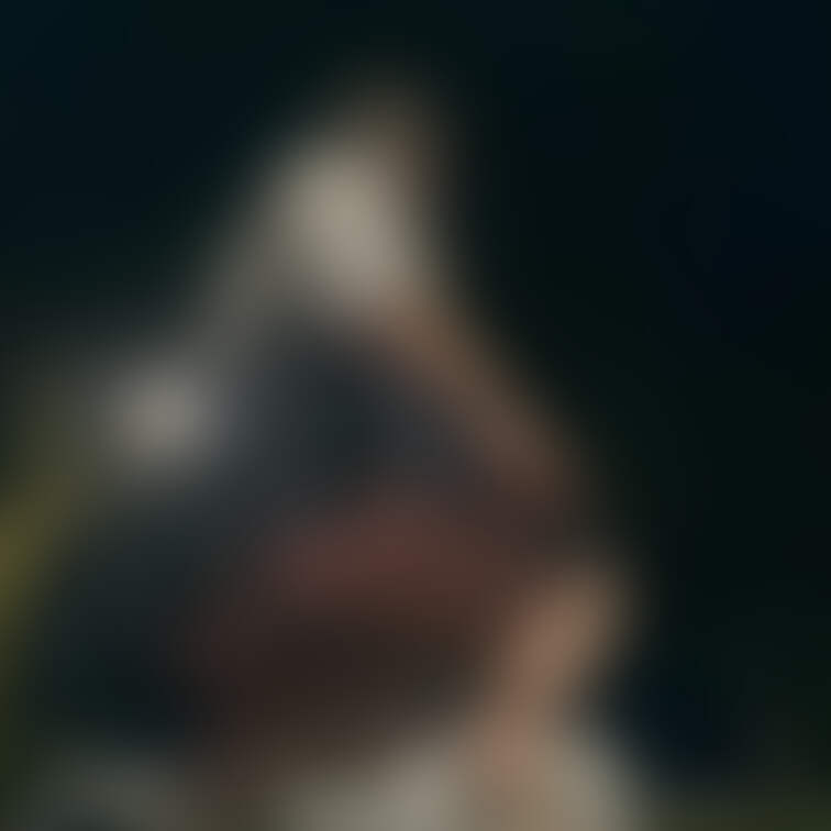 座り込んだらお尻に食い込みます