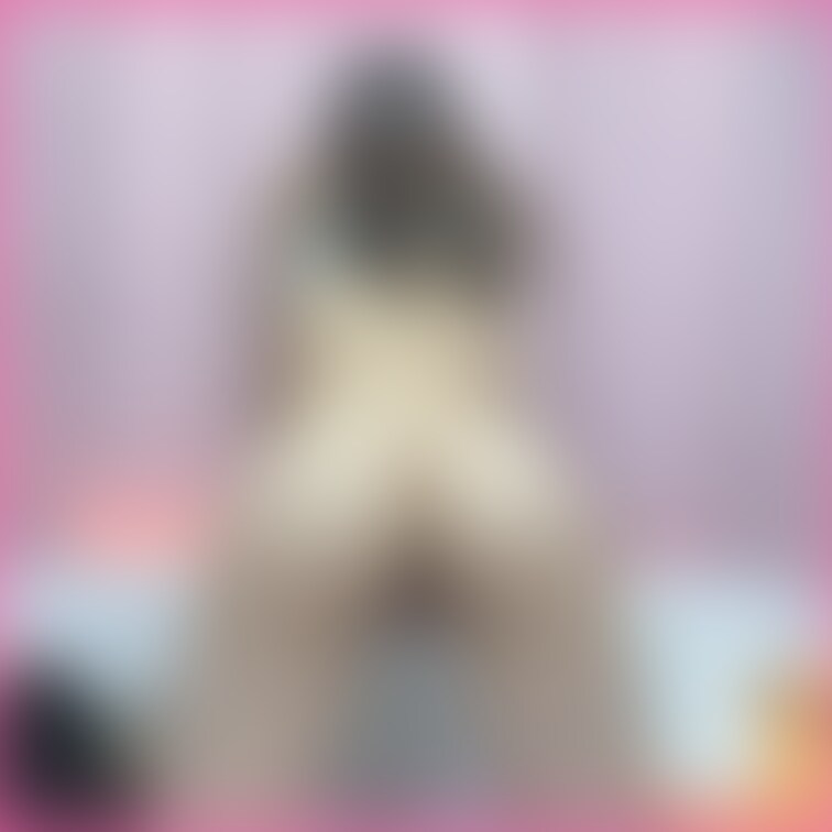 お疲れ様あああ💓

時々、ちょっとお尻を叩きたくなる衝動ない？www

何かわかんないけどたまにある🤣💓

