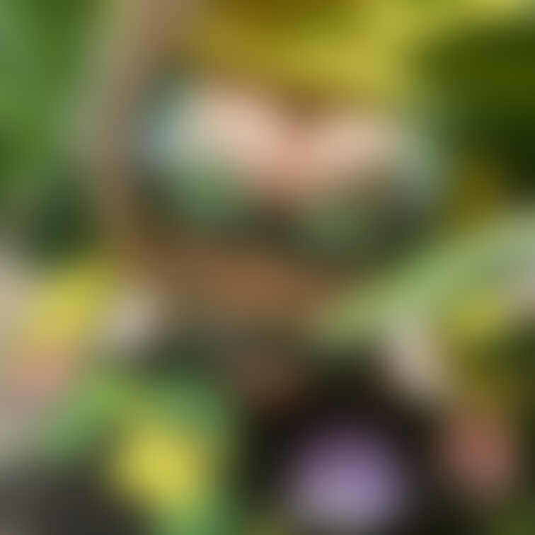グリーンのサルート(⑉• •⑉)❤︎