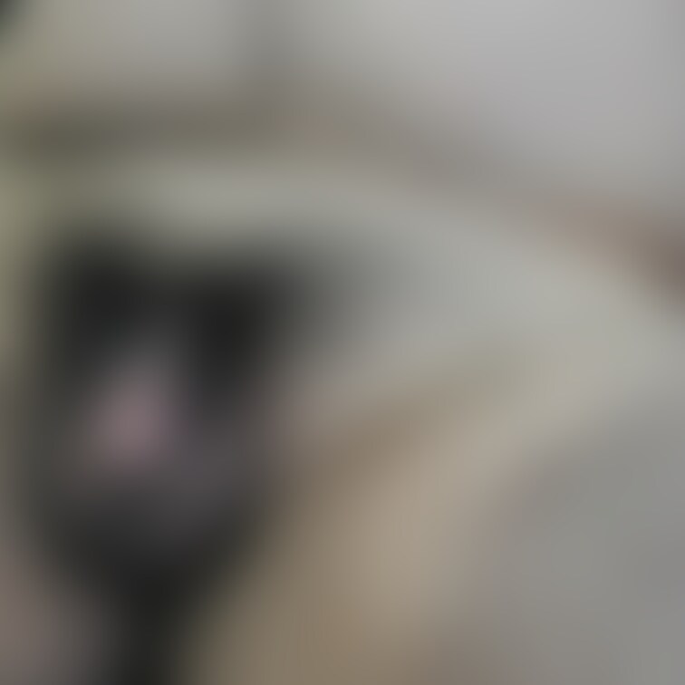 毛深いチ◯ポに顔を埋めたい方いる?🐻