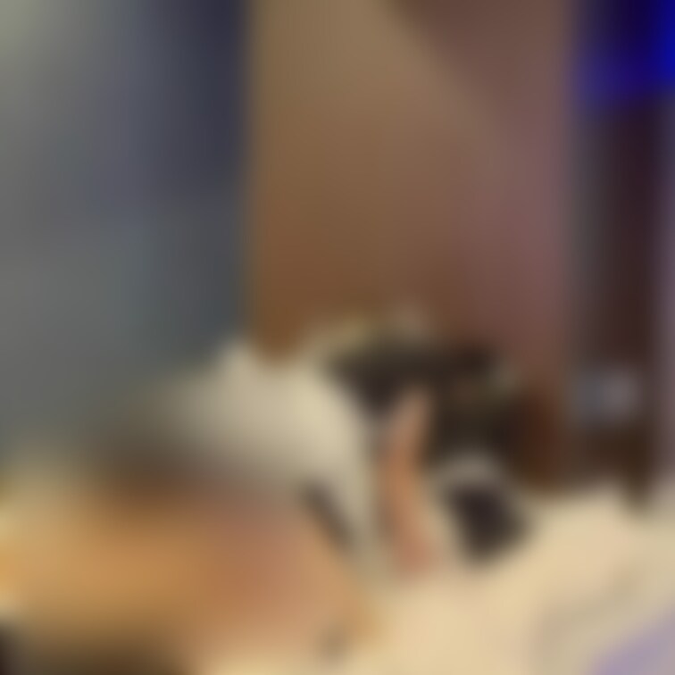 前回の続きです！
可愛い巨根年下女装男子にぶち○○○されてイかされまくった最高のクリスマスでしたね()
今年もこんな