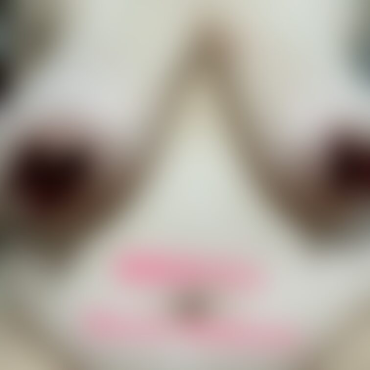 ニプレスを取ってくれる？