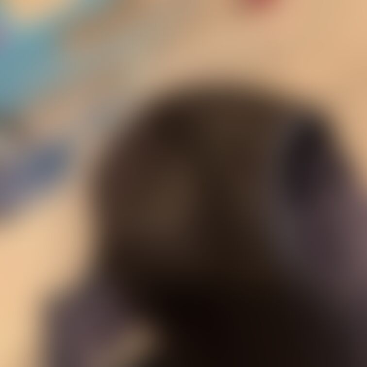 7月18日
遅くなり申し訳ないです。
