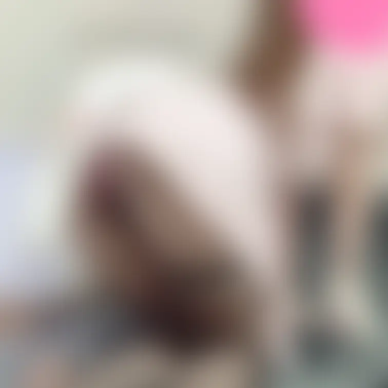 白猫ナース