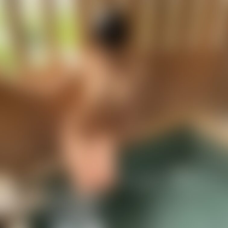 身体のくねりがいいかんじ、、？🧡

今日はお○○○さんが上京して初めて
遊びに来てくれるんだけど
楽しませられる