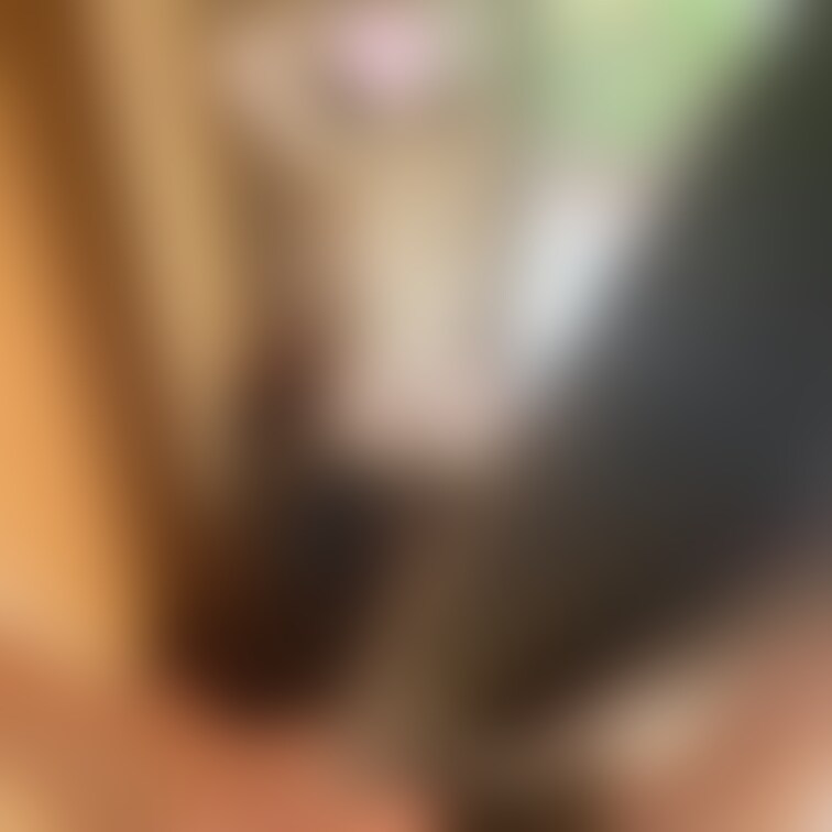 綾瀬のドライヤー姿。
後ろから見るか、前から見るか^^✨