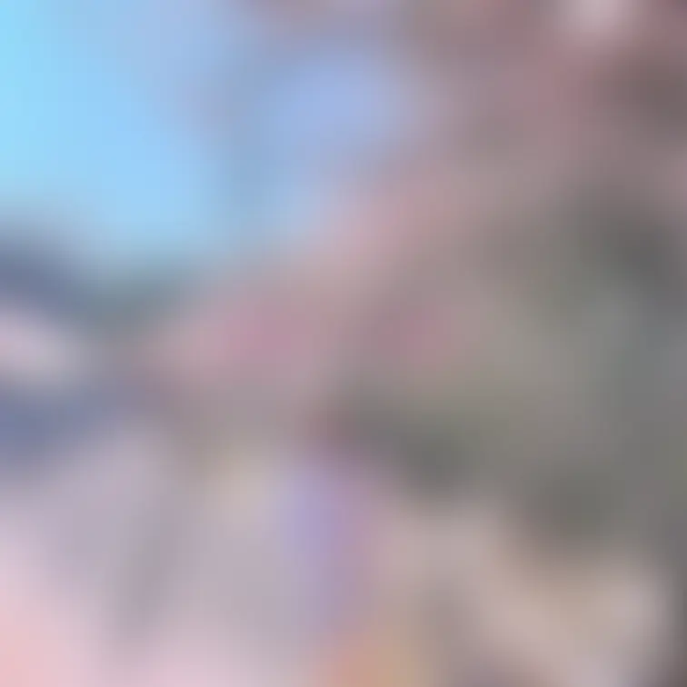 Ｘポスト未公開㊙画像