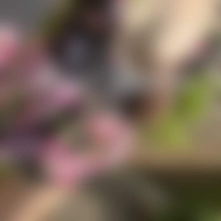 3枚更新！
西陽に照らされた身体からは汗がたらり
Twitterより○○○イク💗