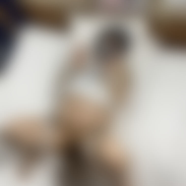○○○声優国宝妊婦ののかちゃん(臨月)