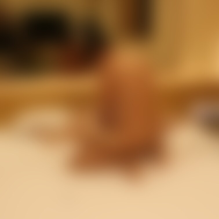 単独男性と遊んだ時の様子です。
50代の単独男性と30代の妻のセックスの様子をご覧下さい。