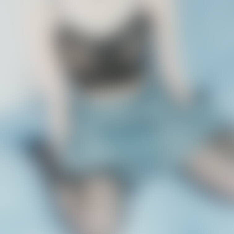 最近えっちしてなさすぎて
やりかた忘れちゃった👼🏻