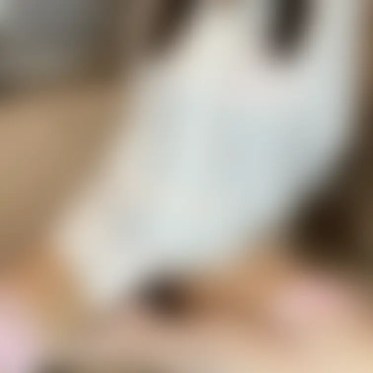 透け透けランジェリーの画像です　当然ですが加工