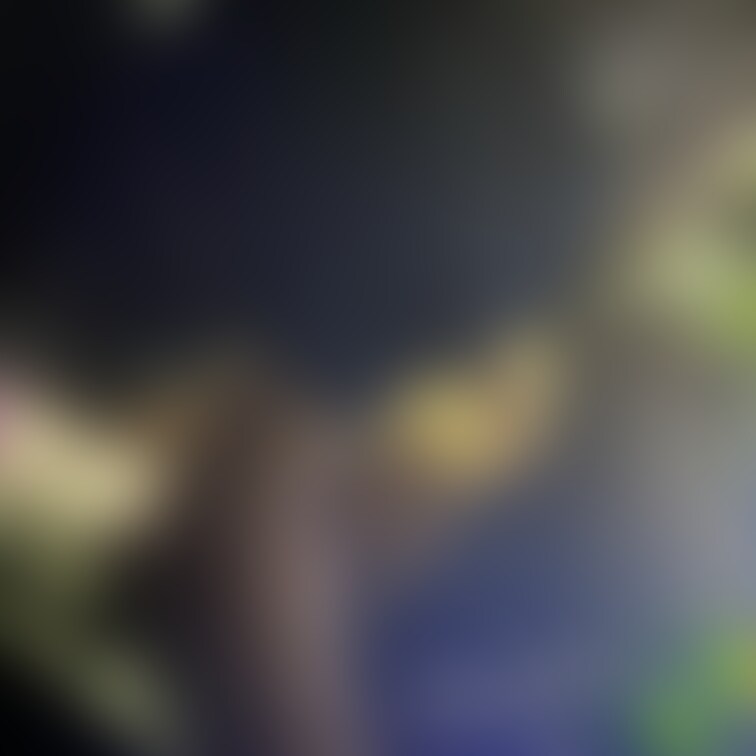無料プラン