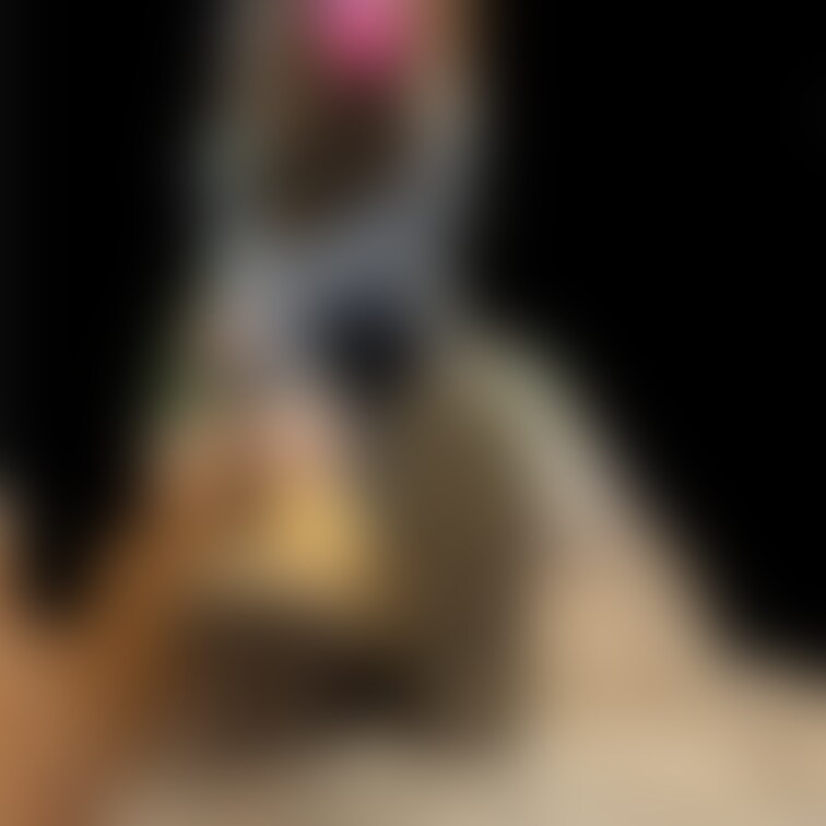 Twitter更新分
キャラソックスjdさん
生足美脚ムートンブーツ