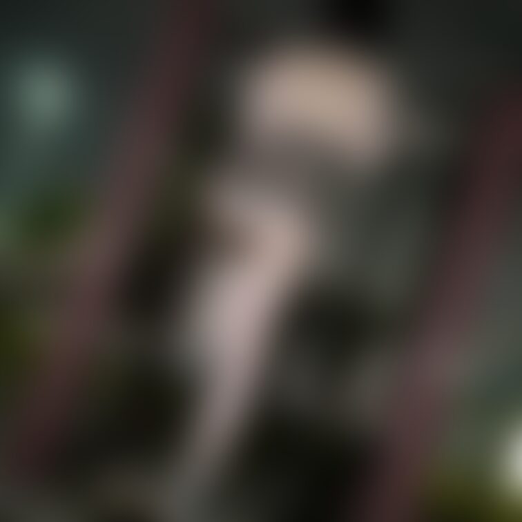 最近あんまり寒くないですねぇ☺️