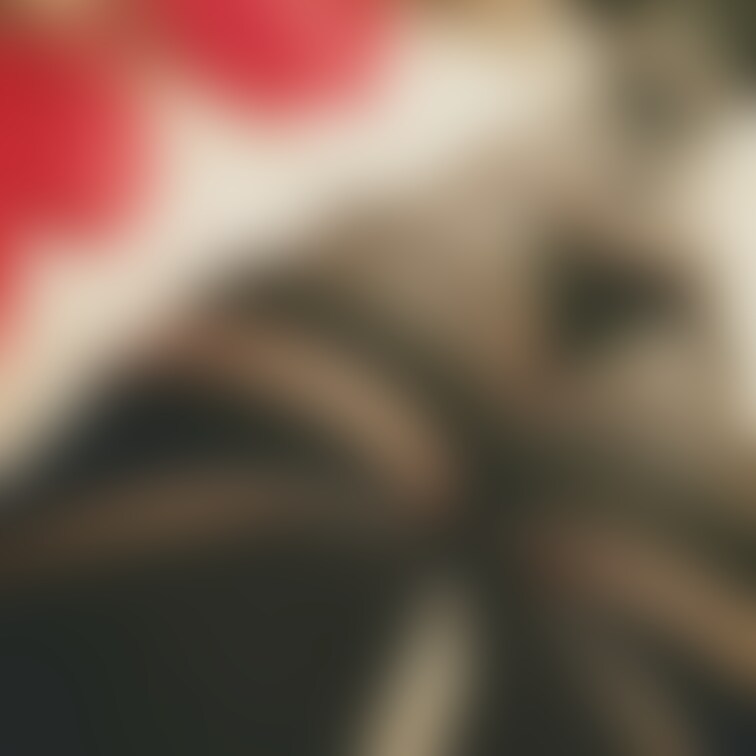 着て着て縛って被って被って縛って着て
沢山重ねて縛って朦朧とするまで重ねる
ただ圧で果てるまで