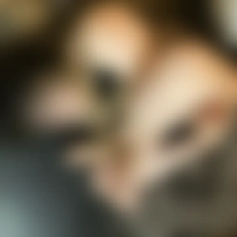 折りたたみ女子　小さく小さく