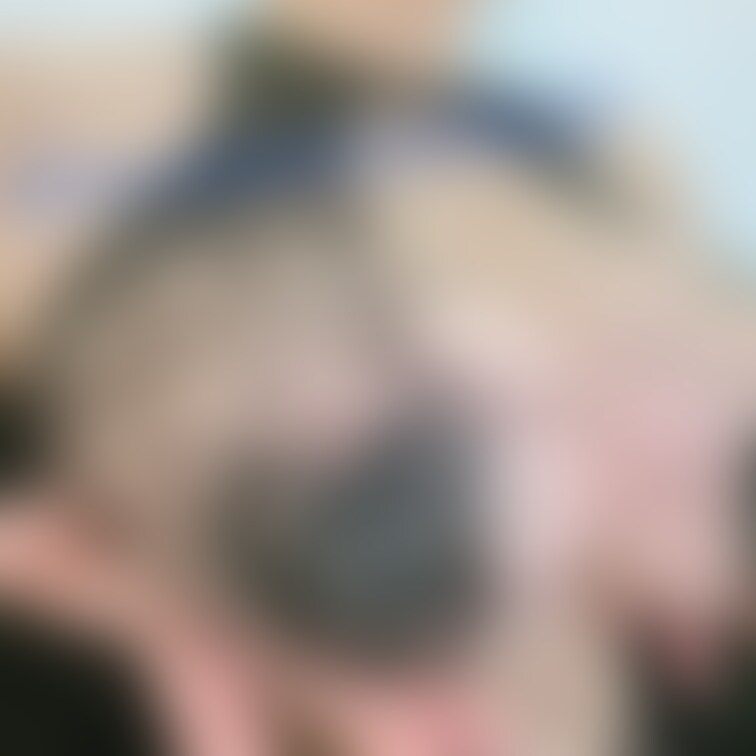 手乗りぱい🤲