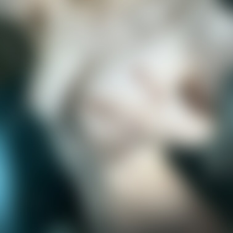 おはよ