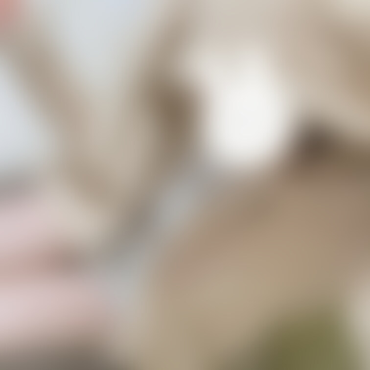 うさ耳