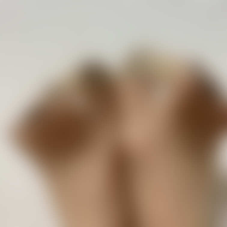 過去画