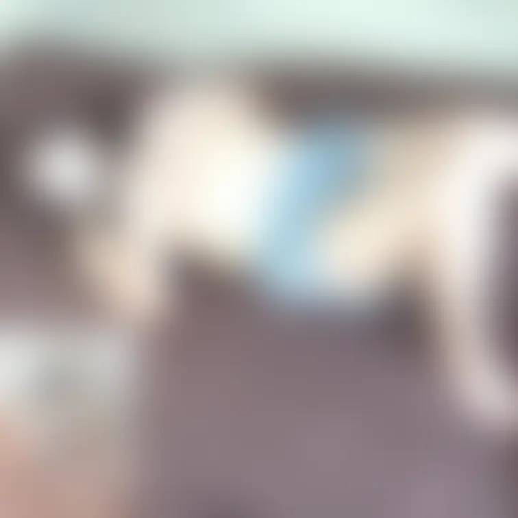 #34自宅探訪♡オナニー編
本編▶https://myfans.jp/posts/82b0a9fd-4098-4c