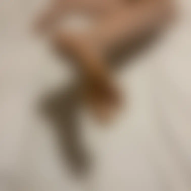 さて、これはなんでしょう？？