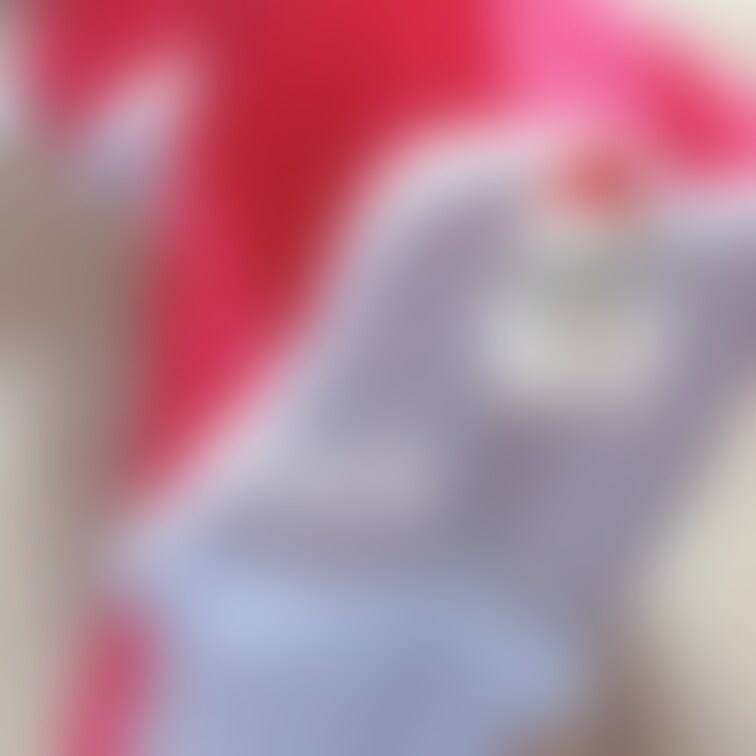 見えちゃったかなと思ったけど、ハムサンタが守ってくれてた…❕🐹＜ﾌﾞﾛｯｸ！
