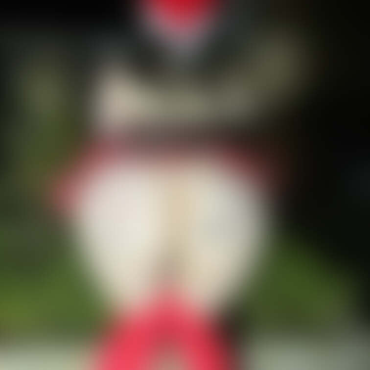 肉便器サンタさんで公園露出お散歩😖❤️
お尻の.....見て？😖❤️

💋直接連絡先を交換して私を肉便器に育てて頂